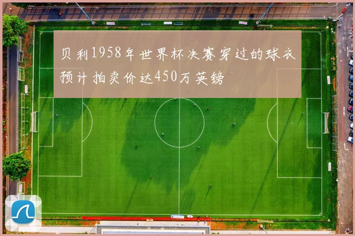 贝利1958年世界杯决赛穿过的球衣预计拍卖价达450万英镑